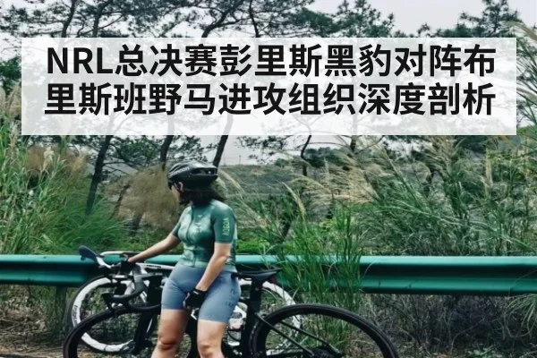 NRL总决赛彭里斯黑豹对阵布里斯班野马进攻组织深度剖析